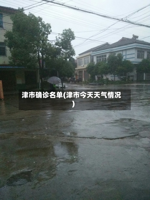 津市确诊名单(津市今天天气情况)