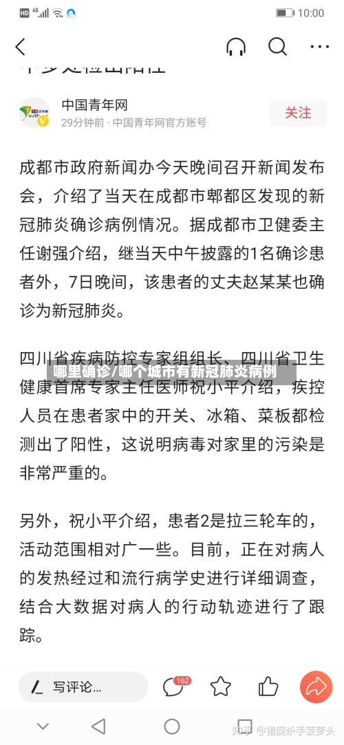 哪里确诊/哪个城市有新冠肺炎病例