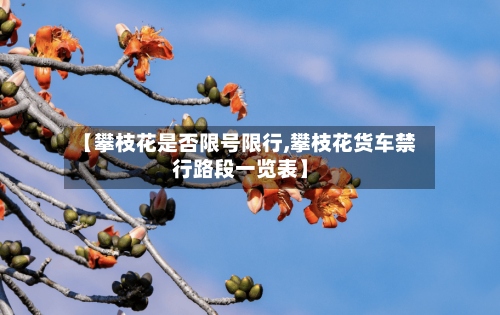 【攀枝花是否限号限行,攀枝花货车禁行路段一览表】