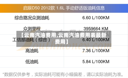 【云南汽油费用,云南汽油费用表最新费用】