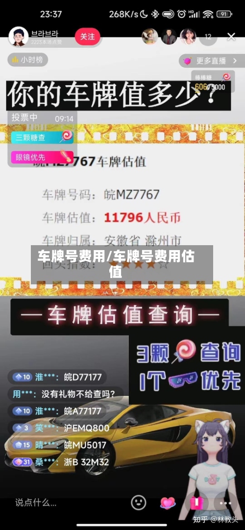 车牌号费用/车牌号费用估值