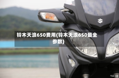 铃木天浪650费用(铃木天浪650最全参数)
