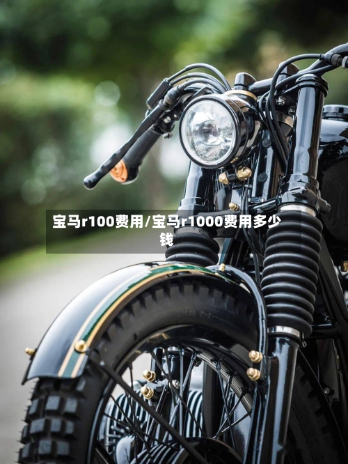 宝马r100费用/宝马r1000费用多少钱-第3张图片