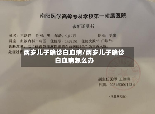 两岁儿子确诊白血病/两岁儿子确诊白血病怎么办