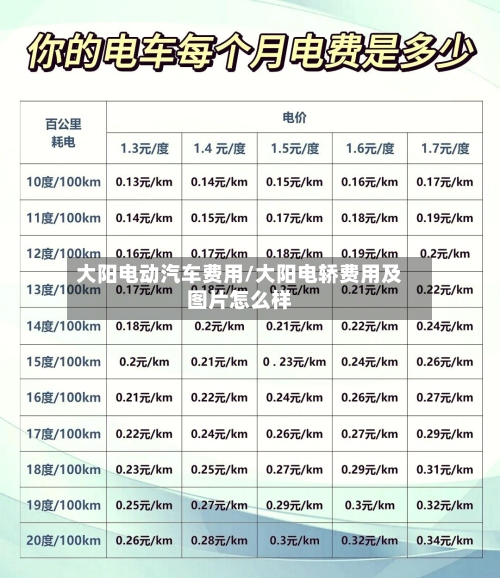 大阳电动汽车费用/大阳电轿费用及图片怎么样-第3张图片