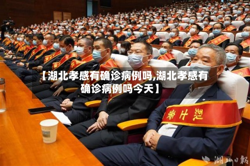 【湖北孝感有确诊病例吗,湖北孝感有确诊病例吗今天】-第3张图片