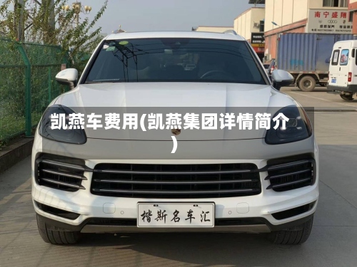 凯燕车费用(凯燕集团详情简介)
