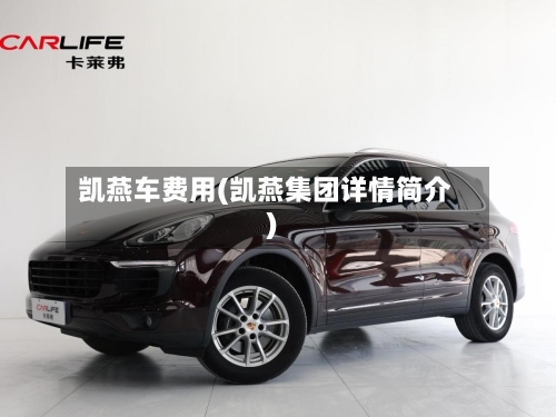 凯燕车费用(凯燕集团详情简介)-第3张图片