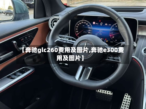 【奔驰glc260费用及图片,奔驰e300费用及图片】-第2张图片