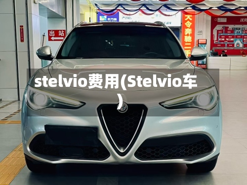 stelvio费用(Stelvio车)