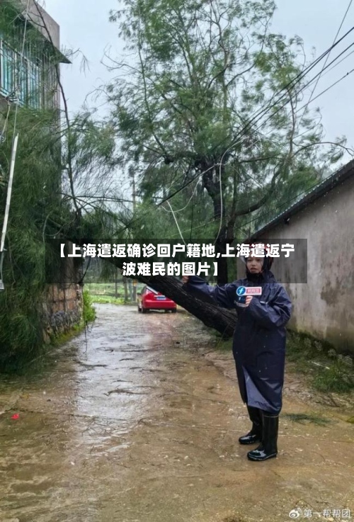 【上海遣返确诊回户籍地,上海遣返宁波难民的图片】-第2张图片
