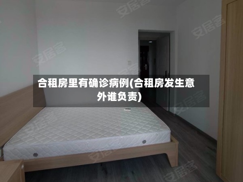 合租房里有确诊病例(合租房发生意外谁负责)-第2张图片