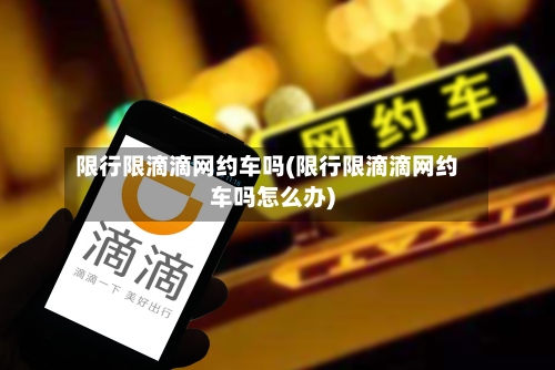 限行限滴滴网约车吗(限行限滴滴网约车吗怎么办)-第3张图片