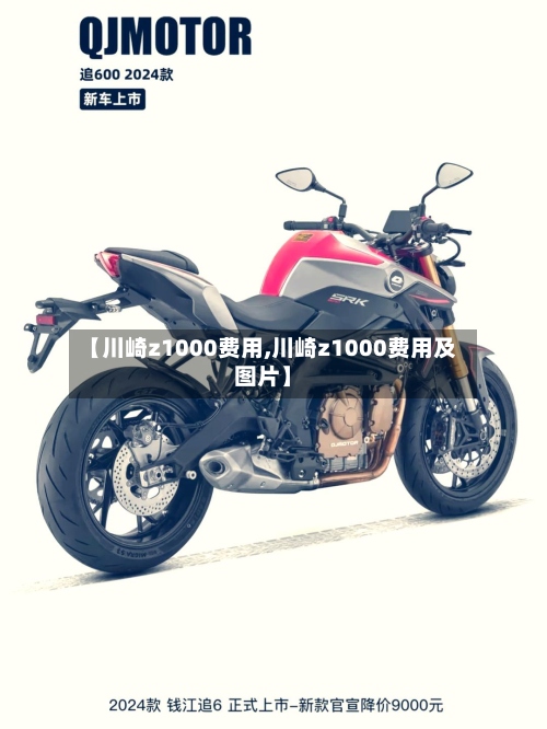 【川崎z1000费用,川崎z1000费用及图片】-第2张图片