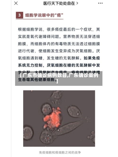 【广东市确诊病例数目,广东确诊案例】-第2张图片