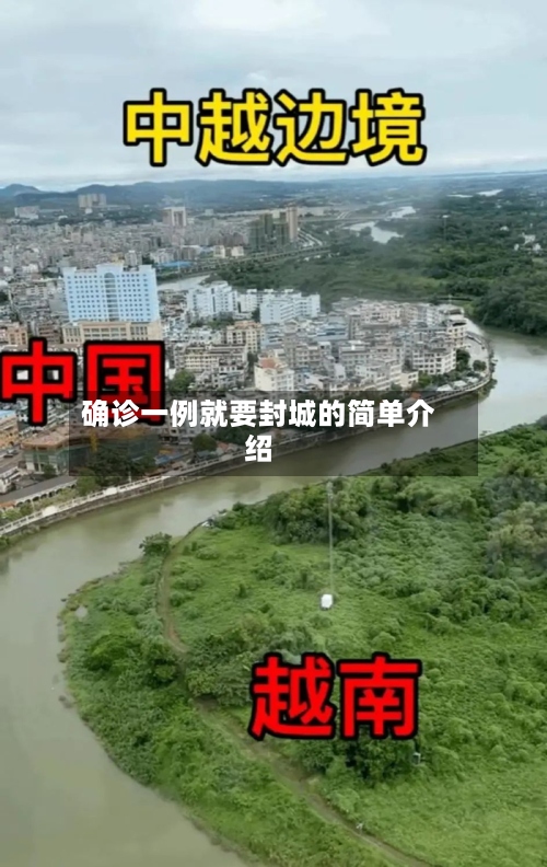 确诊一例就要封城的简单介绍-第2张图片