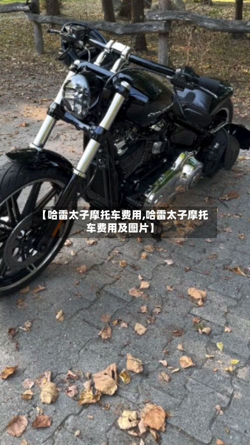 【哈雷太子摩托车费用,哈雷太子摩托车费用及图片】