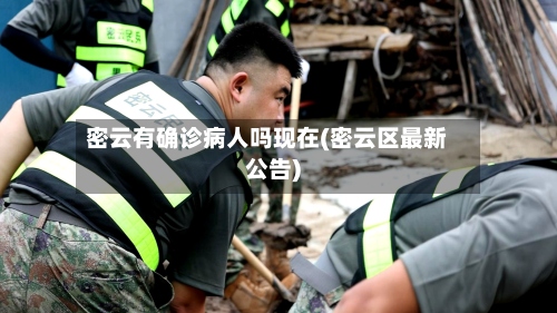 密云有确诊病人吗现在(密云区最新公告)-第2张图片