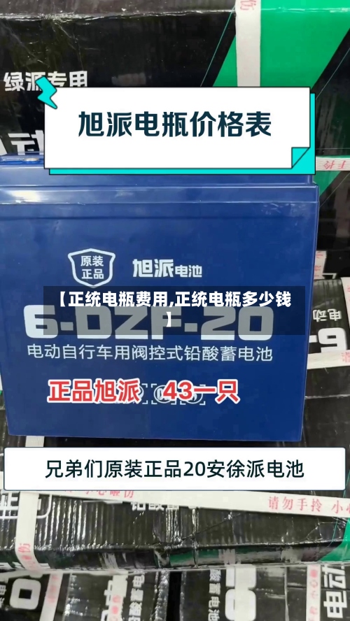 【正统电瓶费用,正统电瓶多少钱】-第3张图片