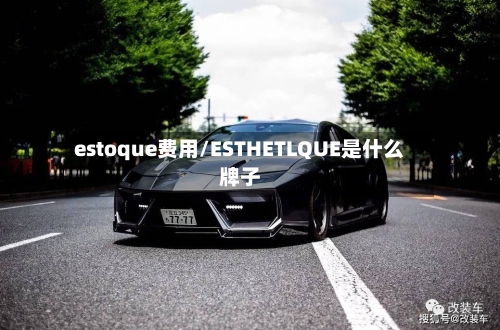 estoque费用/ESTHETLQUE是什么牌子-第2张图片
