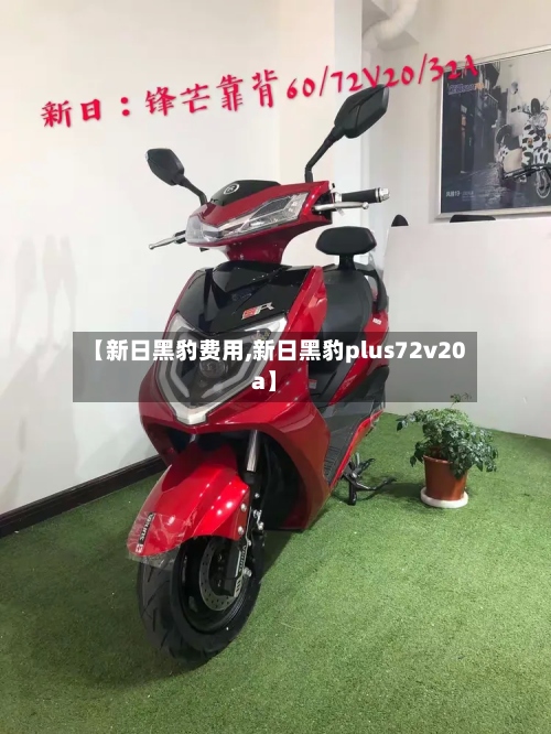 【新日黑豹费用,新日黑豹plus72v20a】