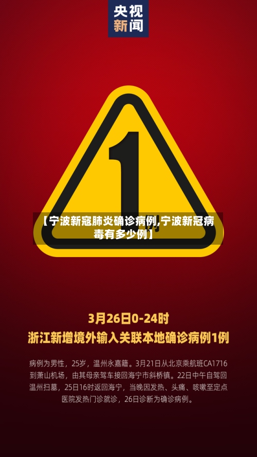 【宁波新寇肺炎确诊病例,宁波新冠病毒有多少例】-第3张图片