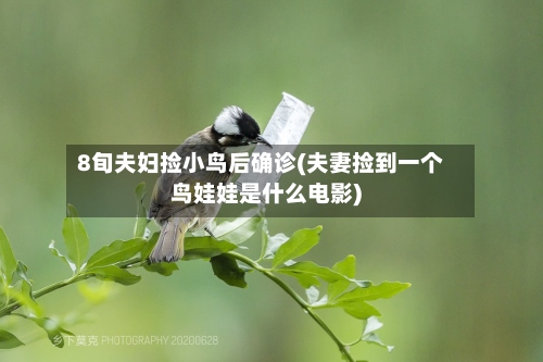 8旬夫妇捡小鸟后确诊(夫妻捡到一个鸟娃娃是什么电影)