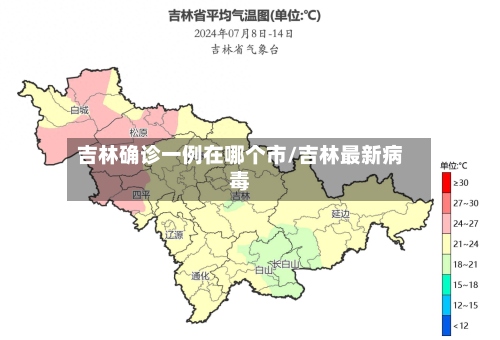 吉林确诊一例在哪个市/吉林最新病毒-第2张图片