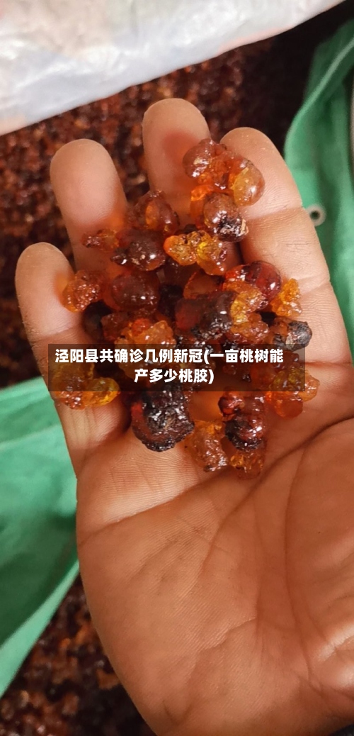 泾阳县共确诊几例新冠(一亩桃树能产多少桃胶)-第2张图片