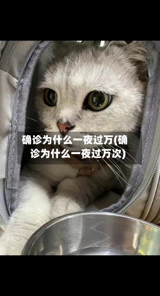 确诊为什么一夜过万(确诊为什么一夜过万次)-第2张图片