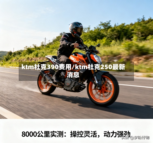 ktm杜克390费用/ktm杜克250最新消息-第2张图片