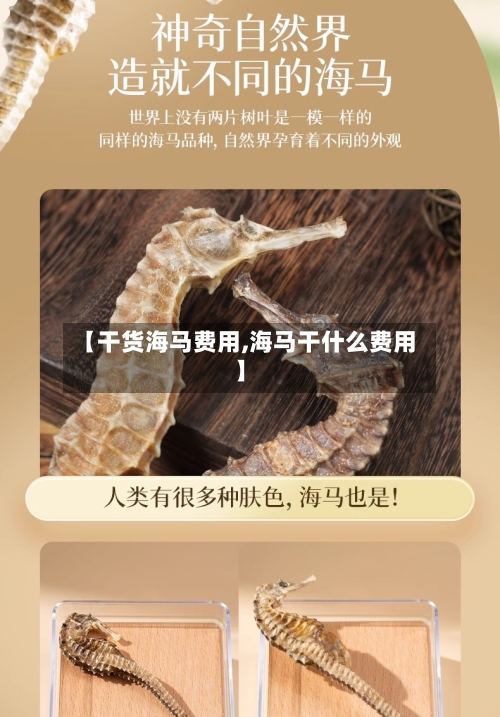 【干货海马费用,海马干什么费用】