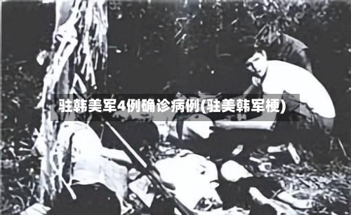 驻韩美军4例确诊病例(驻美韩军梗)