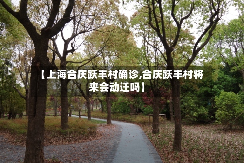【上海合庆跃丰村确诊,合庆跃丰村将来会动迁吗】-第3张图片