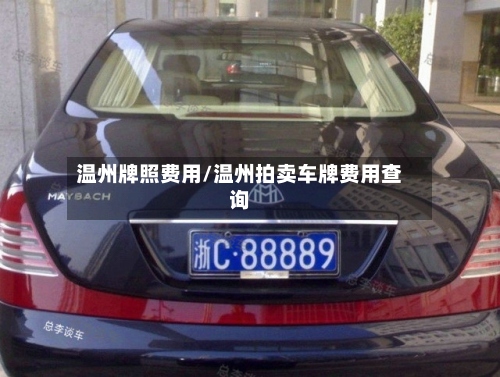 温州牌照费用/温州拍卖车牌费用查询