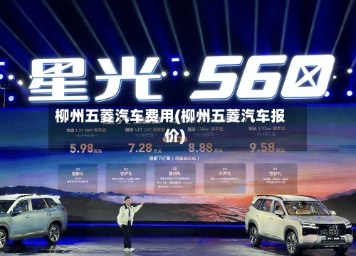 柳州五菱汽车费用(柳州五菱汽车报价)-第2张图片