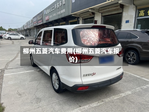 柳州五菱汽车费用(柳州五菱汽车报价)-第3张图片