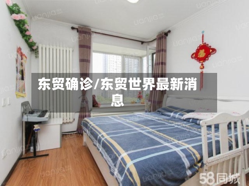 东贸确诊/东贸世界最新消息-第3张图片