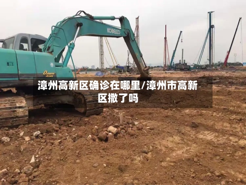 漳州高新区确诊在哪里/漳州市高新区撒了吗-第2张图片