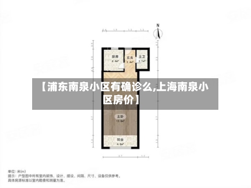 【浦东南泉小区有确诊么,上海南泉小区房价】-第2张图片