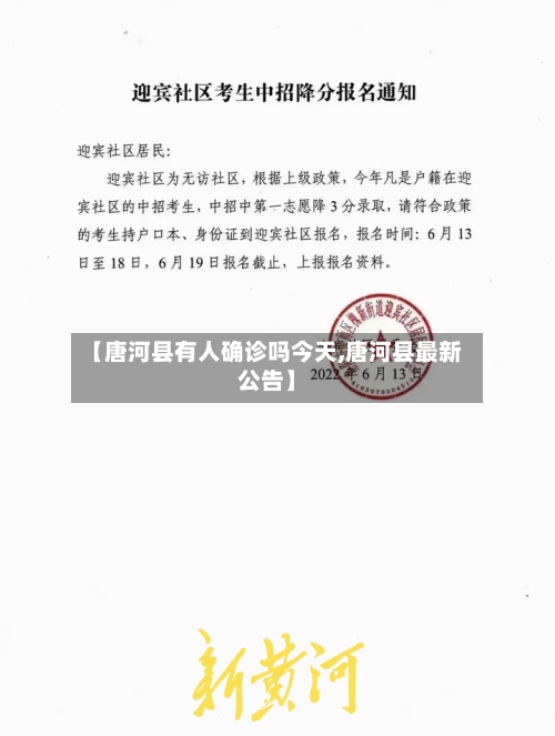 【唐河县有人确诊吗今天,唐河县最新公告】-第2张图片