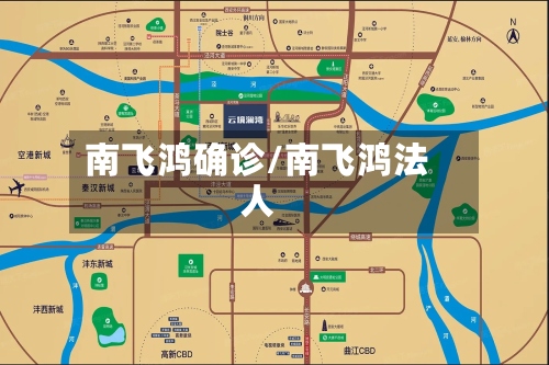 南飞鸿确诊/南飞鸿法人-第3张图片