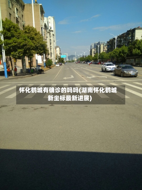 怀化鹤城有确诊的吗吗(湖南怀化鹤城新坐标最新进展)-第2张图片