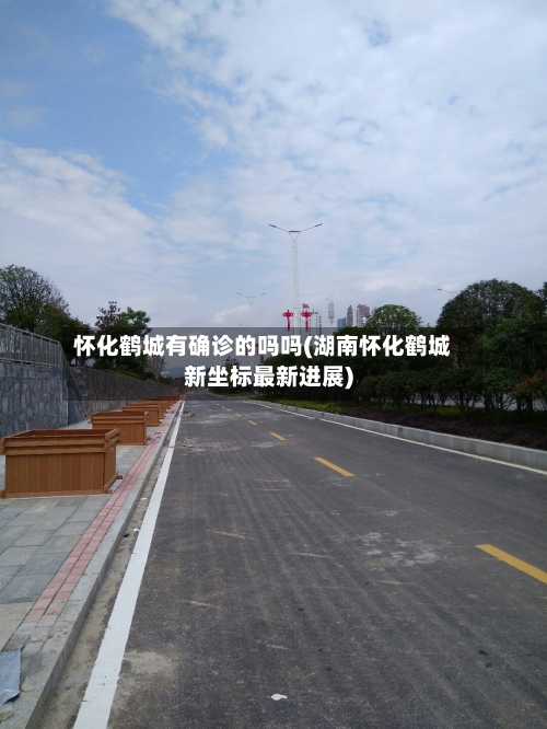 怀化鹤城有确诊的吗吗(湖南怀化鹤城新坐标最新进展)-第3张图片