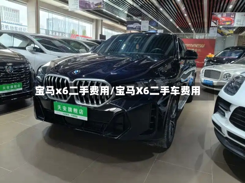 宝马x6二手费用/宝马X6二手车费用-第2张图片