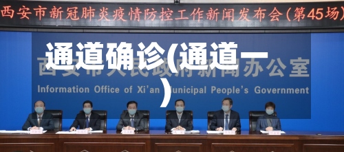 通道确诊(通道一)-第2张图片