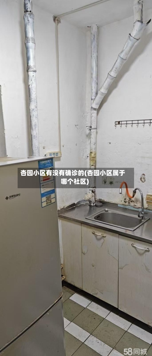 杏园小区有没有确诊的(杏园小区属于哪个社区)-第2张图片
