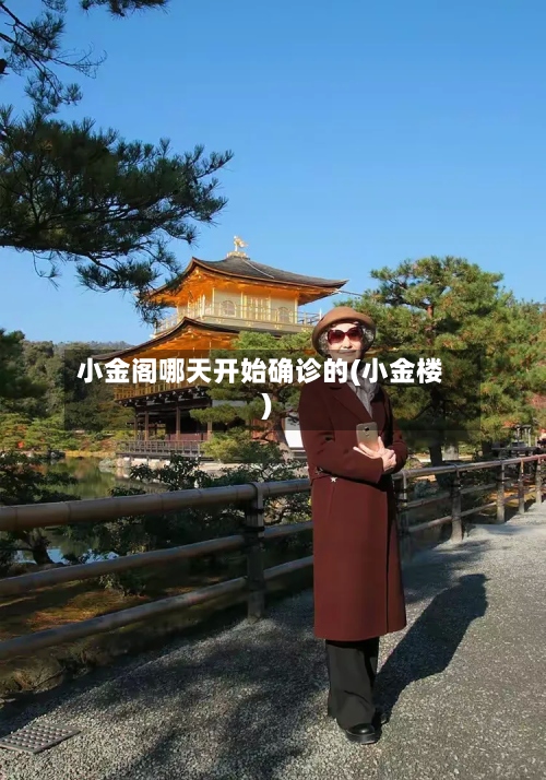 小金阁哪天开始确诊的(小金楼)