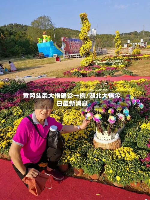 黄冈头条大悟确诊一例/湖北大悟今日最新消息-第2张图片