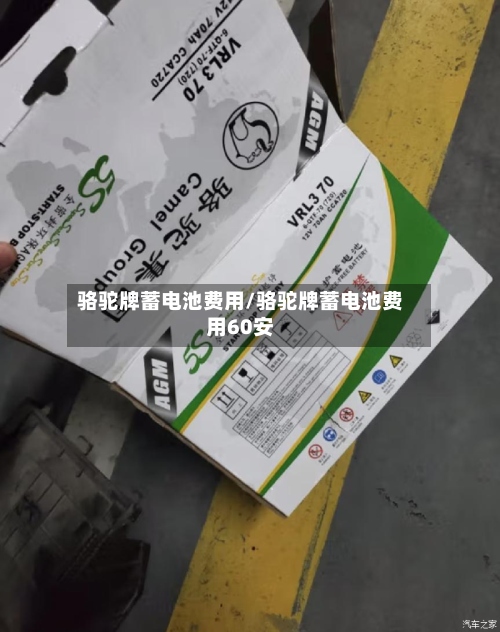 骆驼牌蓄电池费用/骆驼牌蓄电池费用60安